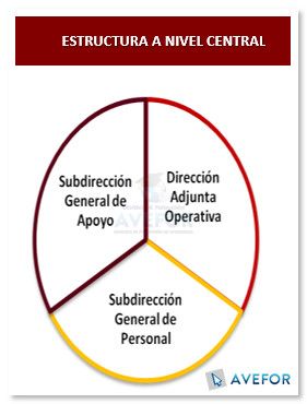 Estructura de la Guardia Civil