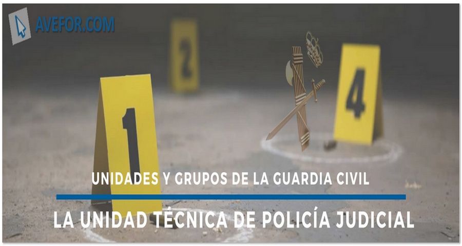 Grupos de la Guardia Civil