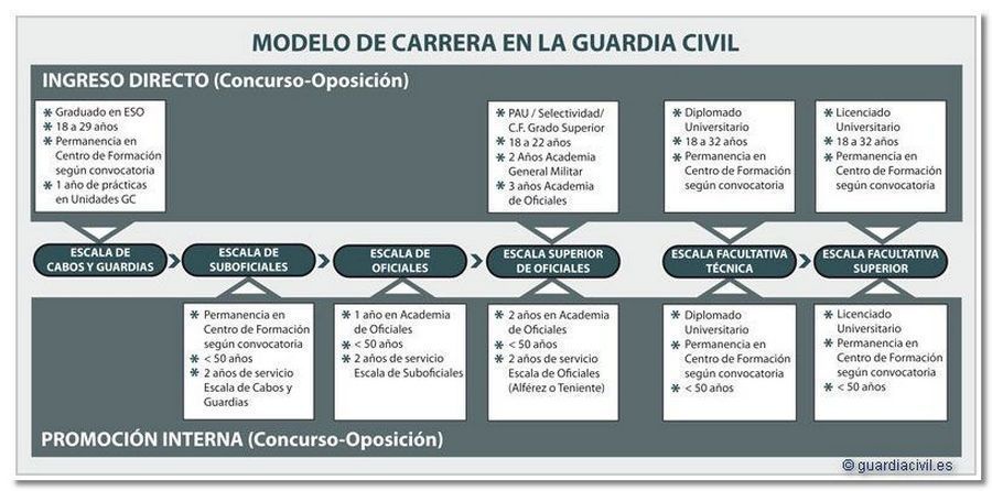 organigrama-oposiciones-a-guardia-civil