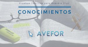 Pruebas Teóricas para Guardia Civil 2021: Conocimientos