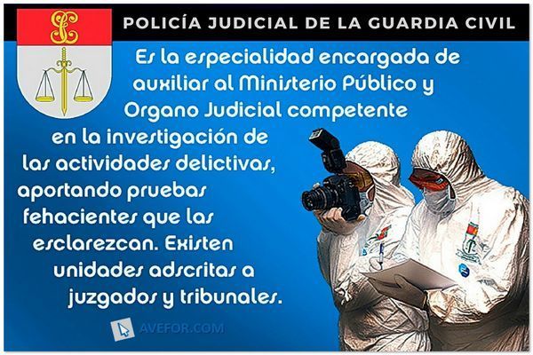 Policía Judicial de la Guardia Civil